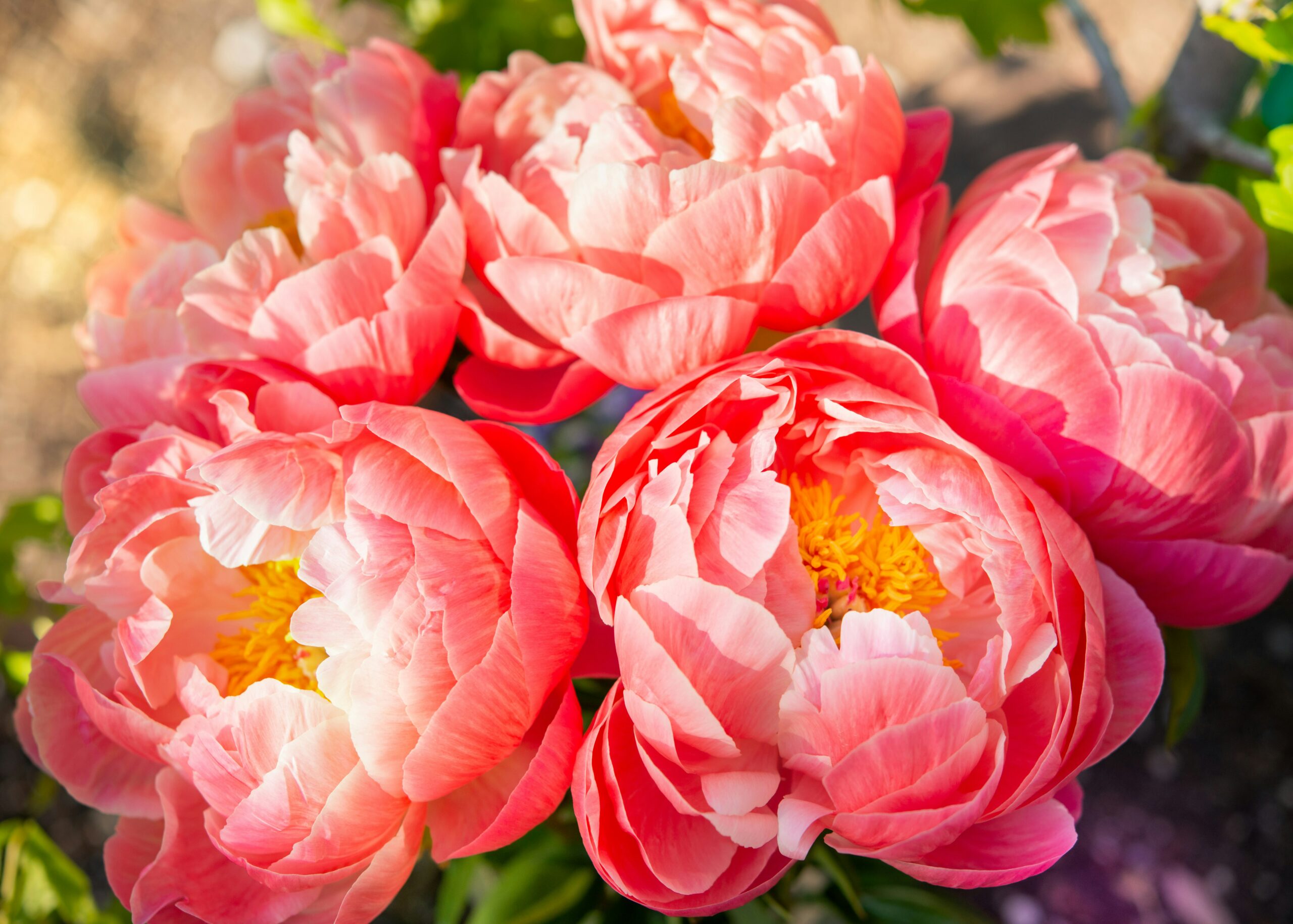 The Art of the Tropical Bouquet: Arranging Bali’s Blooms With Intention