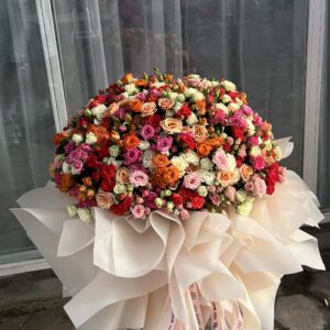 250 Champagne Petals